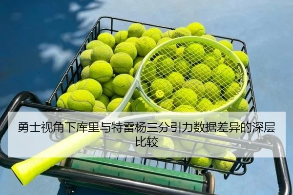 勇士视角下库里与特雷杨三分引力数据差异的深层比较