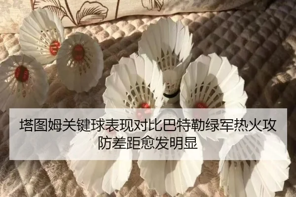 塔图姆关键球表现对比巴特勒绿军热火攻防差距愈发明显